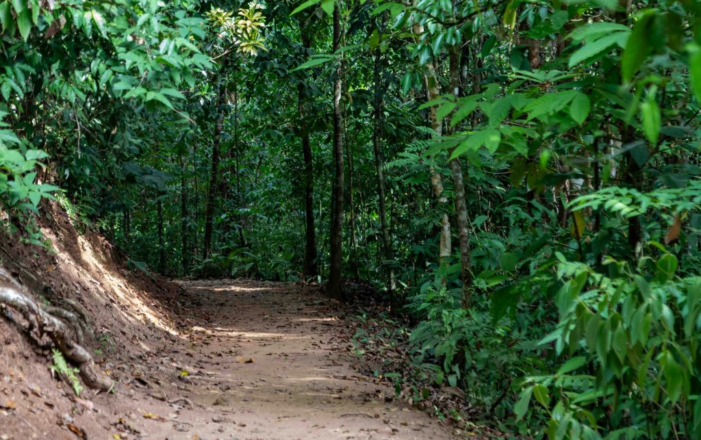 Beitragsbild von Hallo Welt